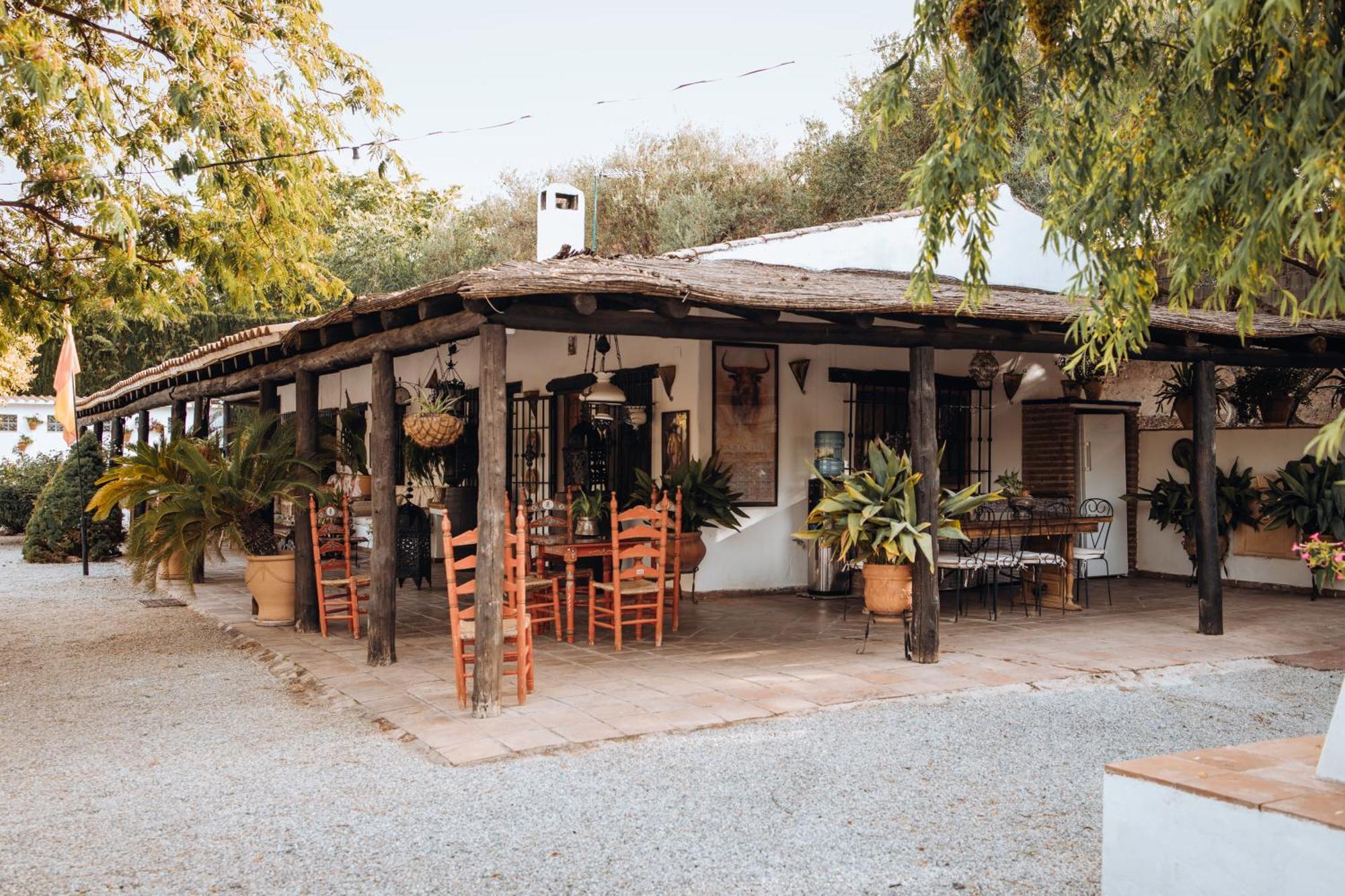 La Cuadra, Finca A Los Pies De Sierra Nevada, A 10 Minutos Del Centro, Piscina, Jardin, Barbacoa La Zubia  Exterior foto