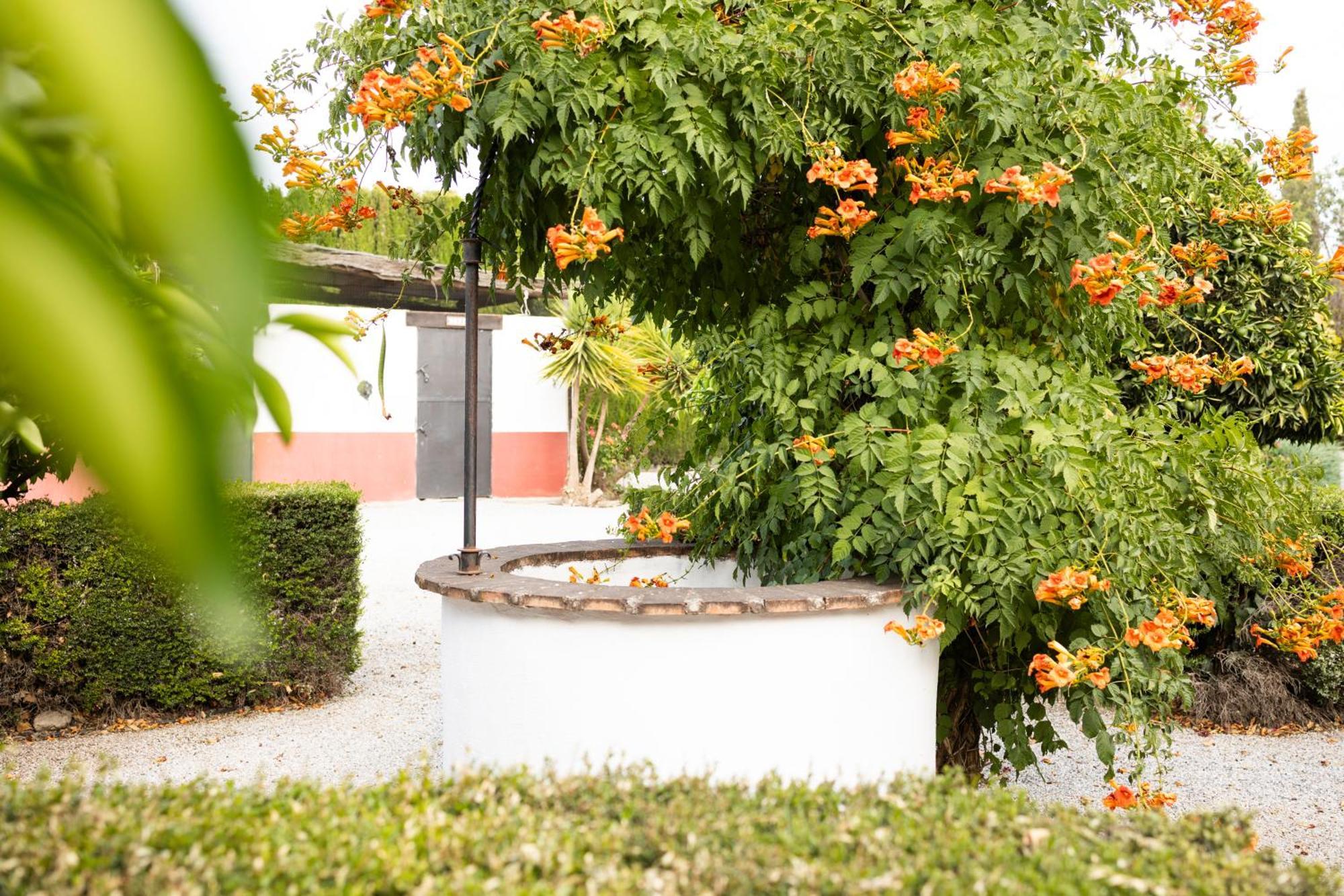 La Cuadra, Finca A Los Pies De Sierra Nevada, A 10 Minutos Del Centro, Piscina, Jardin, Barbacoa La Zubia  Exterior foto
