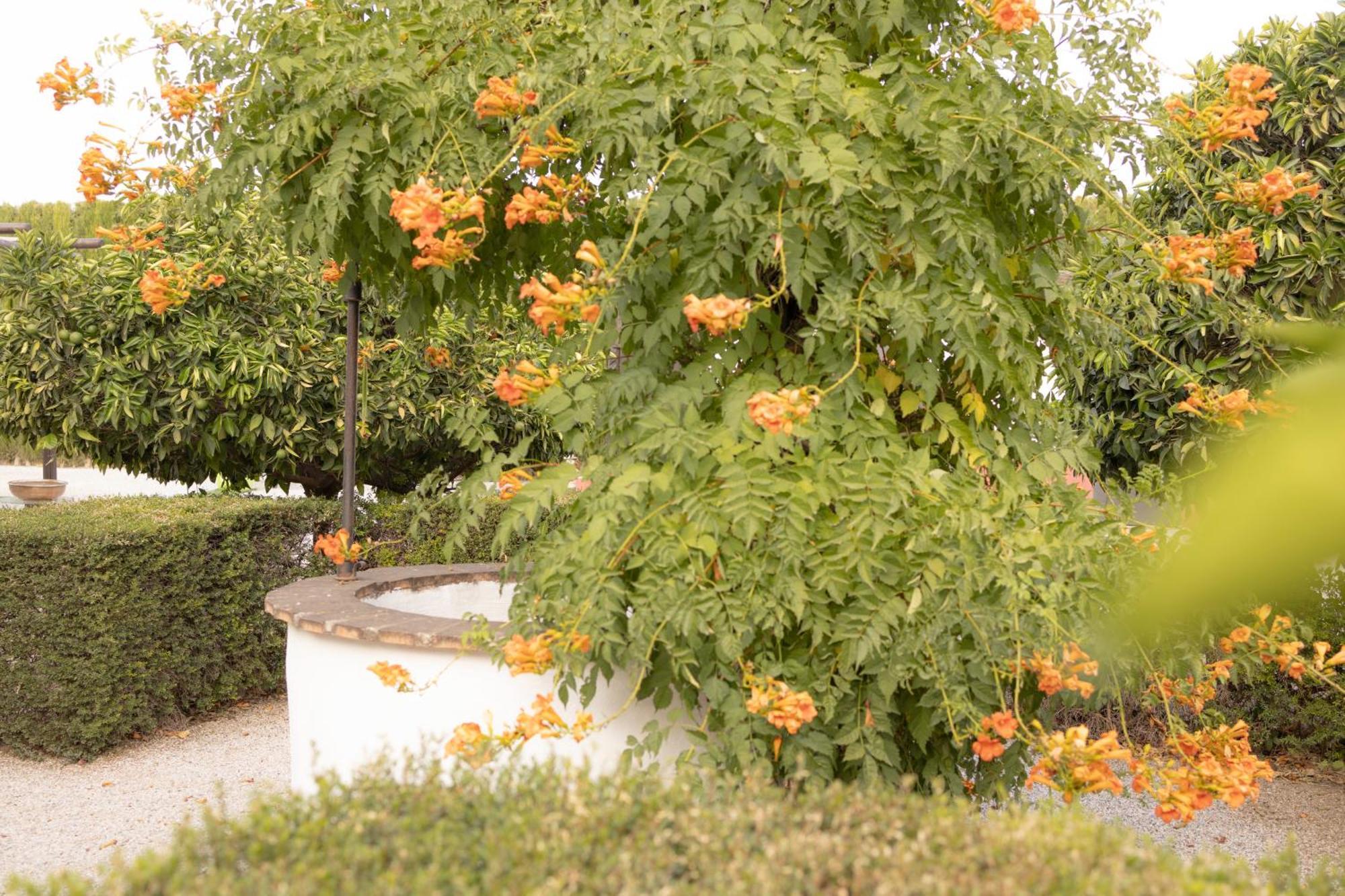 La Cuadra, Finca A Los Pies De Sierra Nevada, A 10 Minutos Del Centro, Piscina, Jardin, Barbacoa La Zubia  Exterior foto