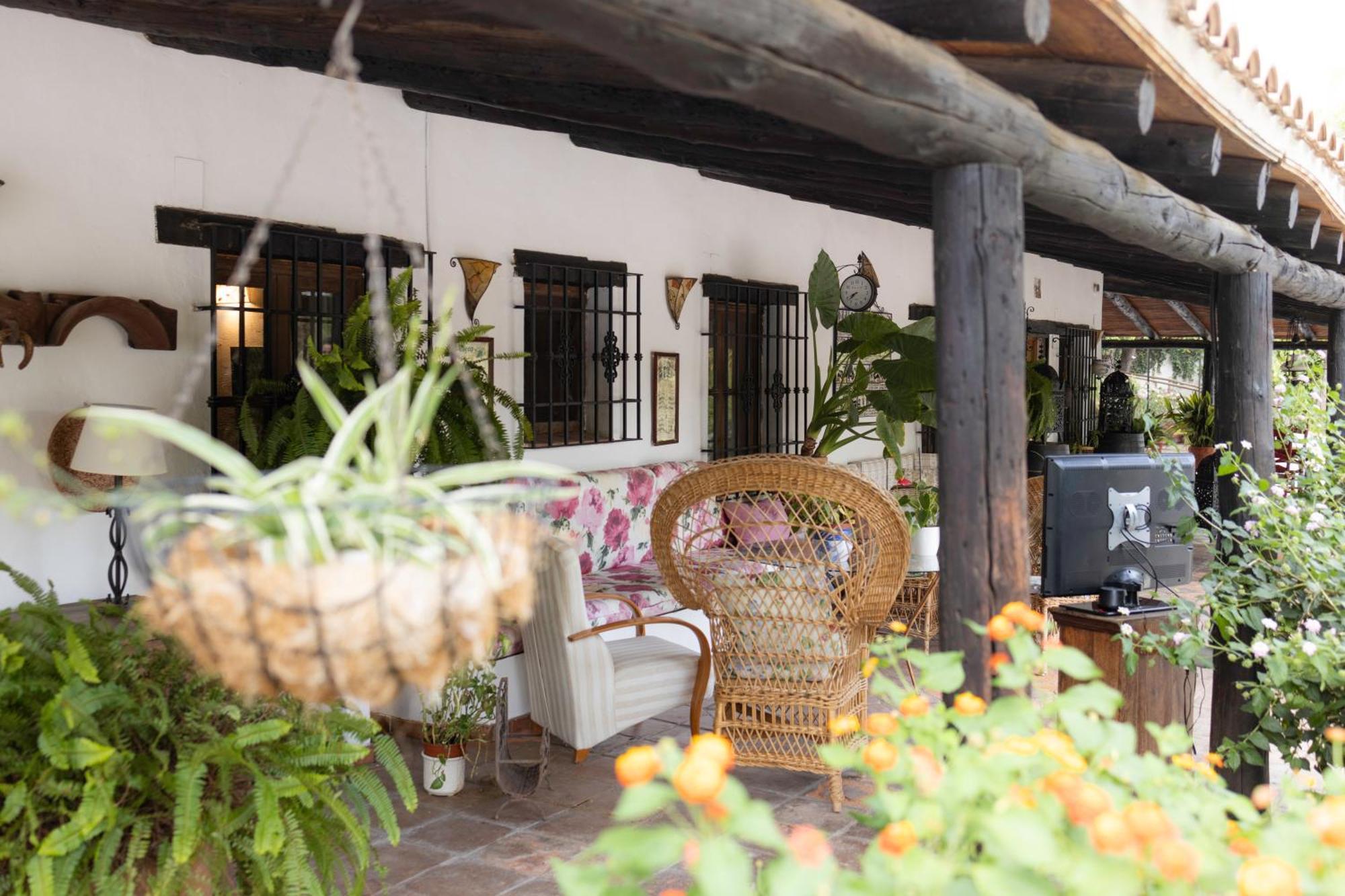 La Cuadra, Finca A Los Pies De Sierra Nevada, A 10 Minutos Del Centro, Piscina, Jardin, Barbacoa La Zubia  Exterior foto