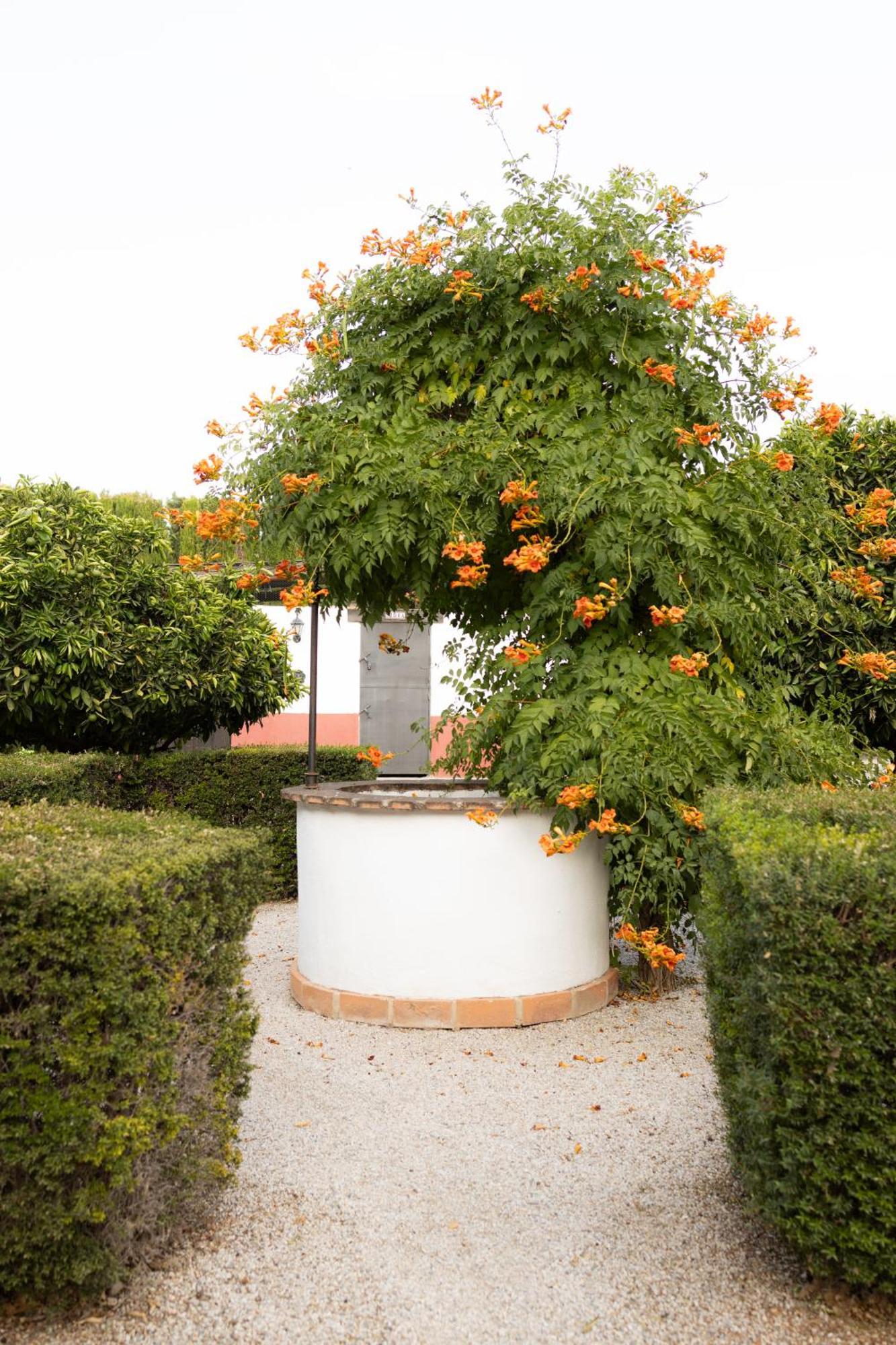 La Cuadra, Finca A Los Pies De Sierra Nevada, A 10 Minutos Del Centro, Piscina, Jardin, Barbacoa La Zubia  Exterior foto